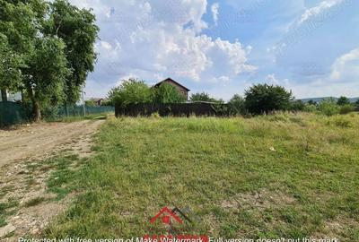 Casă cu Teren 3727 Mp în Bănești - 7