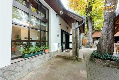 Complex Gastronomic:Afacere la cheie, Restaurant traditional secuiesc+teresa eve - 39