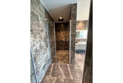 Penthouse cu 4 camere decomandat în Floreasca - 8