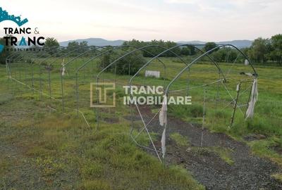 Spațiu industrial, de 317 mp, în Ususău - 6