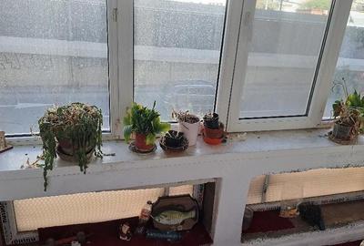 Apartament cu 3 camere decomandat în Obor