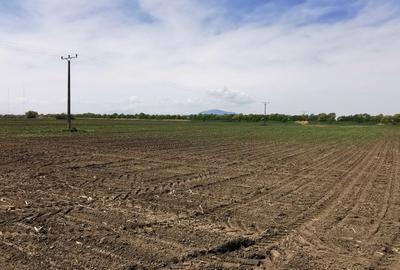 TEREN AGRICOL DE VANZARE - BOD - BRASOV 4,5 HA - 3