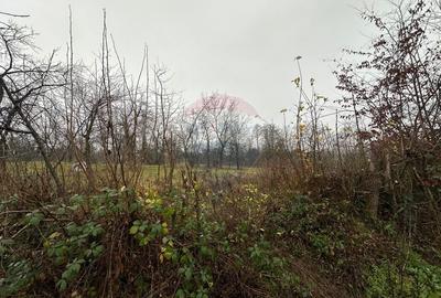 Teren extravilan de 1225 mp, în Săsar - 3