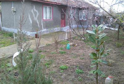 Casă cu 3 camere în Adâncata - 1