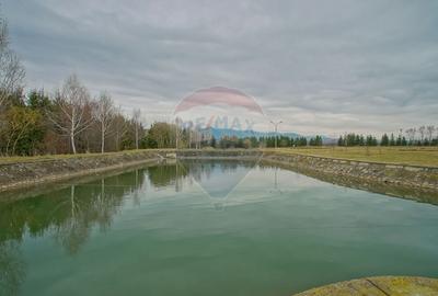 Hotel/Pensiune, de 2,950 mp, în Pănicel - 36