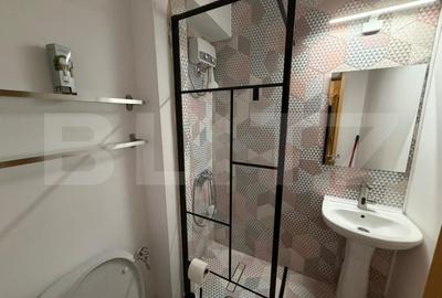 Garsonieră, mobilată în Calea București - 6