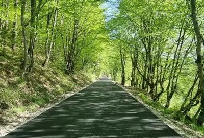 Teren intravilan Tarcau Neamt, langa padure, acces asfaltat, 3h de Bucuresti