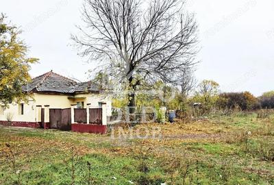 Casa de vanzare cu teren de 1532 mp in satul Berini, Timis - 2
