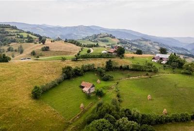 Proprietate + teren 10.400 mp incantoare pozitionare, Poiana Marului, Brasov - 9