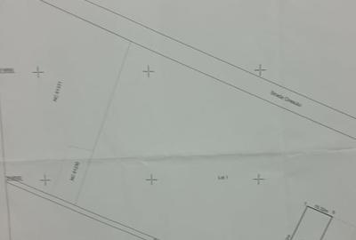 Teren de vanzare in Mgurele Cartierul Pomilor - 4