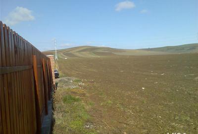 Teren de 3935 mp, în Nazna - 9