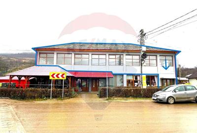 Spațiu comercial, de 271 mp, în Răchitoasa - 2