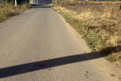 Teren Intravilan 1750mp, deschidere 15,88m - Caciulati, Ilfov - 4