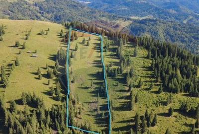 Teren de 24581 mp, în Panaci - 10