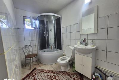 Casă cu 3 camere cu Teren 4820 Mp în Telești