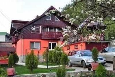 Casă cu 4 camere cu Teren 3750 Mp în Siriu - 2