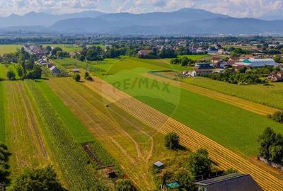 COMISION 0% Teren 3098 mp Brasov / Stupini - 4