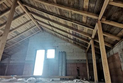 Pantelimon, Ferma animalelor, vila P M,2025 - 2