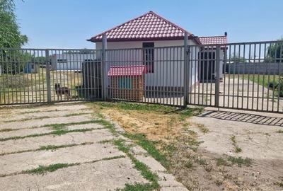 Spațiu comercial, în Dridu - 1