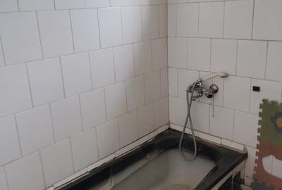 Particular, vând casă la țară – Fierbinți, comuna Șelaru, județul Dâmbovița - 8
