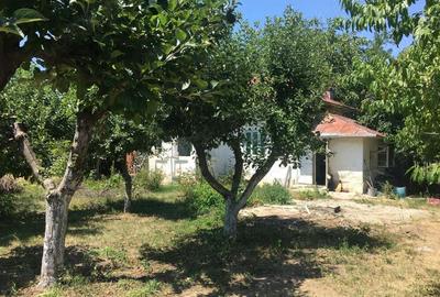 Vand 1200 mp (teren intravilan+ casa), Leu , jud Dolj livada pomi - 2