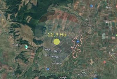 Teren extravilan, arabil de vanzare, in Dobolii de Jos,  22.3 hectare - 2