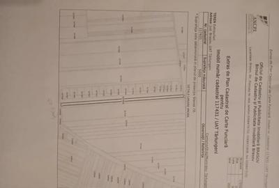 Teren de 5000 mp, în Cărpiniș - 10