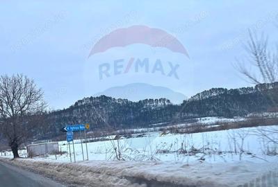 Teren de 17250 mp, în Moșna - 8