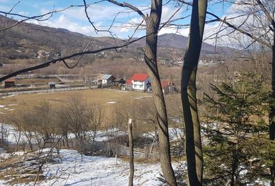 Teren de 10200mp,intravilan , cu deschidere la asfalt - 4