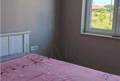 Duplex cu 4 camere cu Teren 330 Mp în Șag - 12