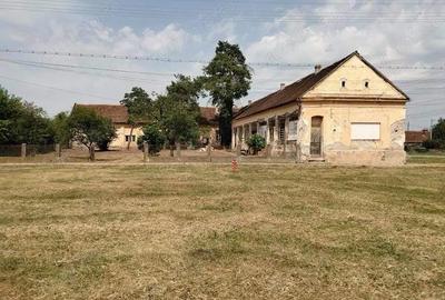 Casă cu Teren 1800 Mp în Neudorf - 1