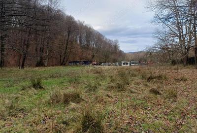 Resita, Teren Drept Intravilan, Langa Prau si Drum, Parcelabil, 4500 Mp., 15 Euro Mp., Renk - 3