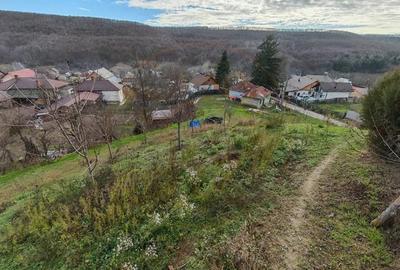Teren intravilan cu casa veche Mioveni, zona Faget - 2