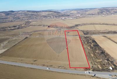 Teren de 10168 mp, în Brateiu - 4