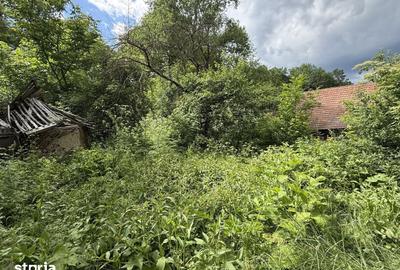 Teren de 683 mp, în Provița de Sus - 13