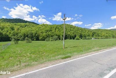 Teren de 5000 mp, în Măneciu - 2