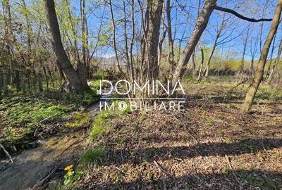 Teren de 4606 mp, în Runcu - 3