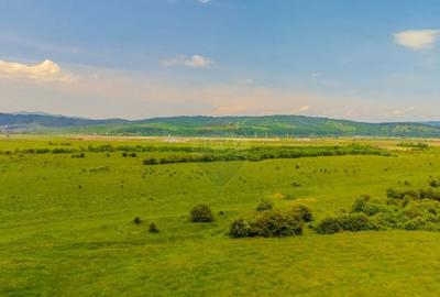 Teren de 10800 mp, în Râșnov - 16