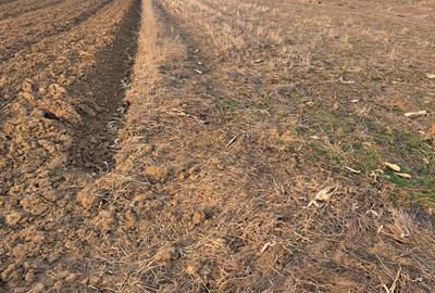 Spațiu comercial, în Marginea - 4