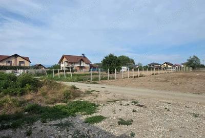 Teren cur?i - construc?ii, cartier Sisesti - 3