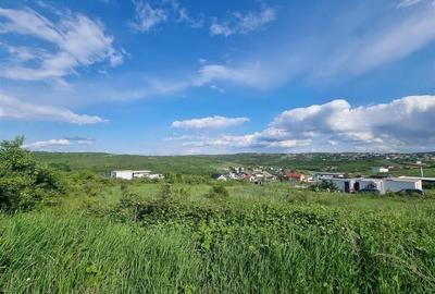 Teren Construcții intravilan de 510 mp, în Dealuri Oradea