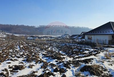 Teren Construcții intravilan de 2200 mp, în Exterior Nord - 1