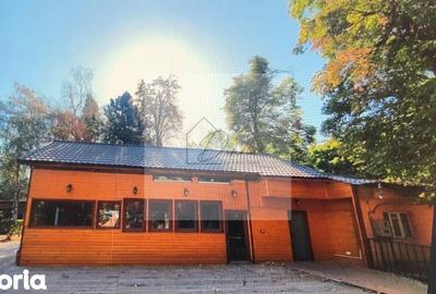 Spațiu comercial, de 120 mp, în Kiseleff - 6
