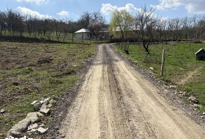 Teren de 700 mp, în Tomești - 2