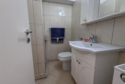 Apartament cu 3 camere decomandat în Scriitorilor - 15
