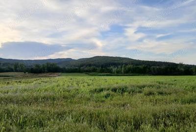 Teren de 30000 mp, în Lupoaia - 2