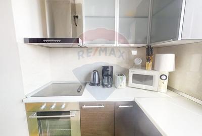 Apartament 3 camere - de inchiriat în zona Aviatiei - Herastrau - 12