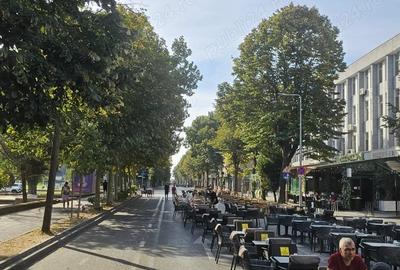 Apartament cu 2 camere ultracentral parc posta - 7