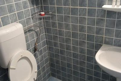 Garsonieră în 1 Decembrie - 2