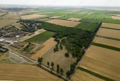 Teren intravilan Sofronea - 4